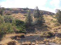 rrente Quarantore-20110911 151